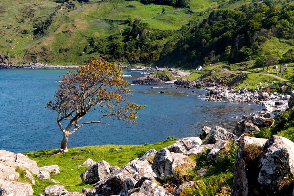 The landscape of County Mayo is reflected in the poetry of Michelle O’Sullivan