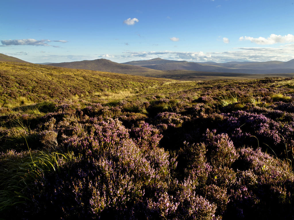 The Sally Gap, County Wicklow